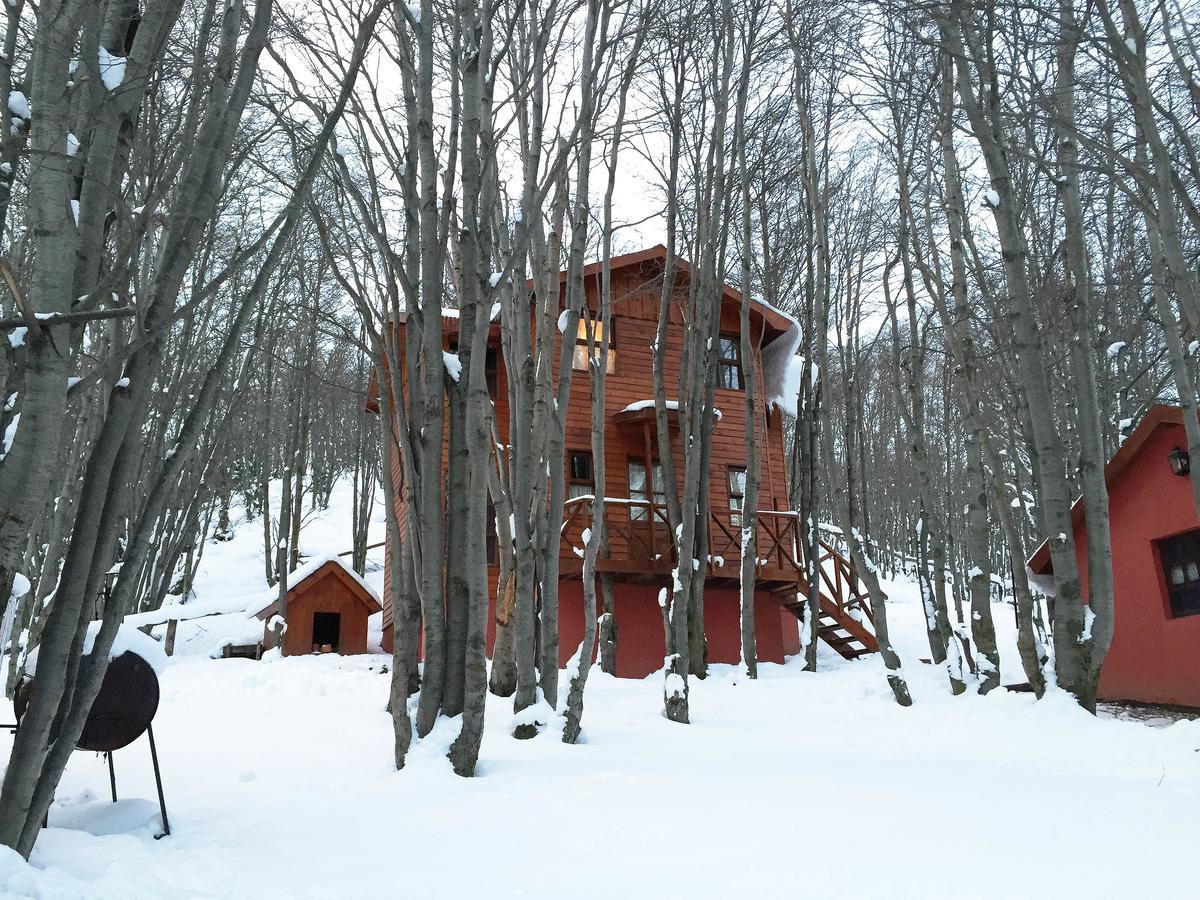 Cabanas Bosque Del Faldeo Ушуая Екстериор снимка
