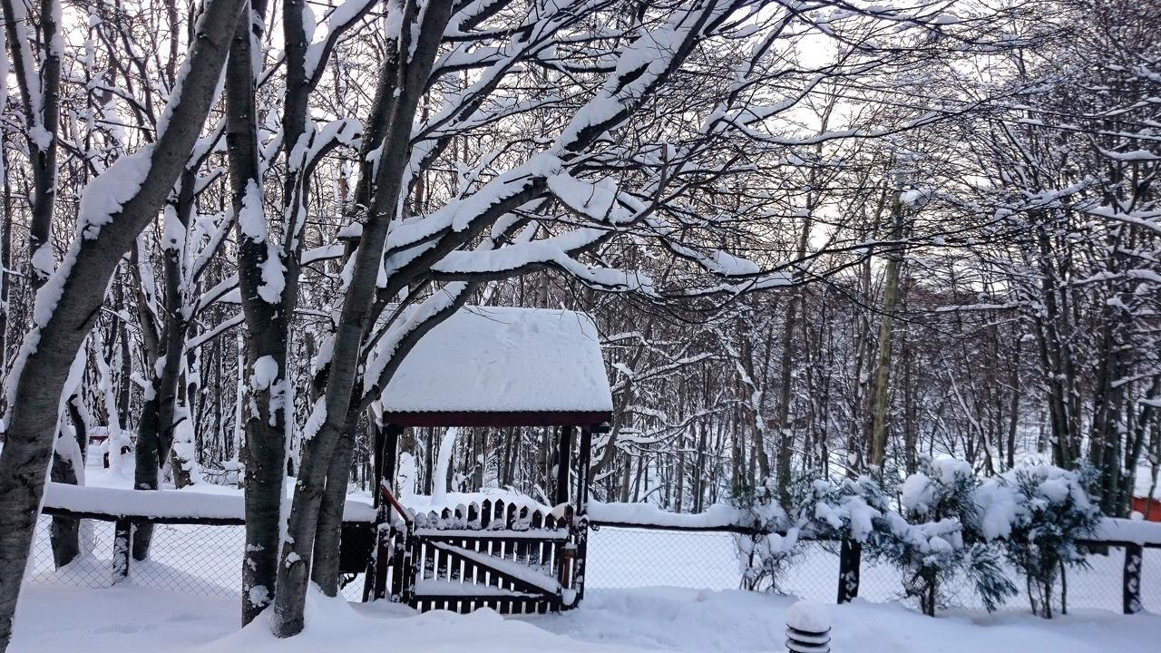 Cabanas Bosque Del Faldeo Ушуая Екстериор снимка
