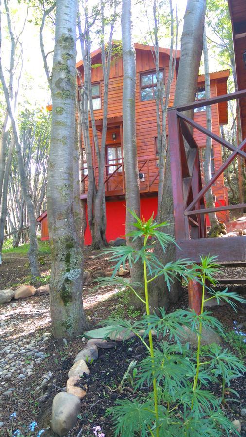 Cabanas Bosque Del Faldeo Ушуая Екстериор снимка